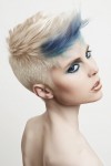 haircollections steve