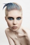 haircollections steve