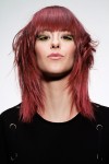 haircollection IoneErice