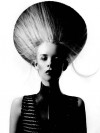 anne veck