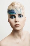 haircollections steve