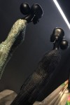 mostra-dior-alessandra-martines-roberto-carminati-07