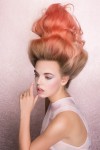 HAIRCOLLECTION LloydCourt