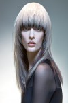 HAIRCOLLECTION AndyHeasman