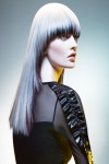 HAIRCOLLECTION AndyHeasman