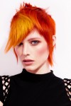 haircollection JoseBoix