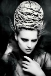 anne veck