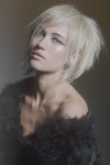 haircollection Studio65Agency