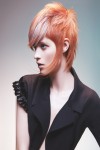 HAIRCOLLECTION AndyHeasman