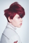 HAIRCOLLECTION MarkHayes&TheInternationalCreativeTeam
