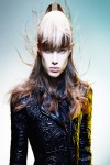 HAIRCOLLECTION AndyHeasman