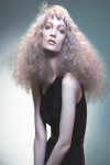 HAIRCOLLECTION AndyHeasman