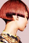 toni&guy