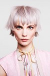 toni&guy