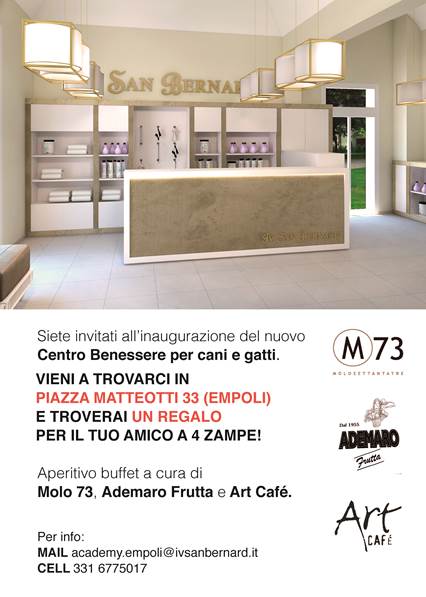iv san bernard