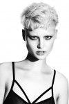 Colin McAndrew & The Medusa Artistic Team