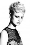 Colin McAndrew & The Medusa Artistic Team