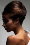 Andrew Barton & Racoon International Artistic Team