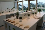 davines-world-hair-tour