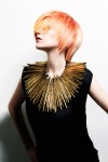 IdHAIR International Art Team