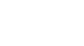 fake news