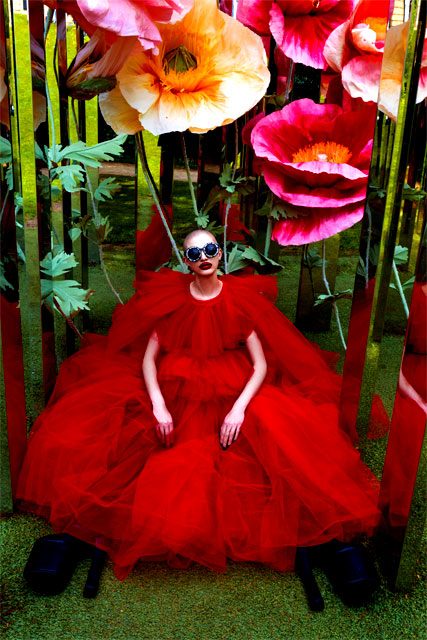 Anne Veck