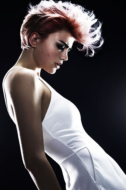 Steven Smart International Hairstylist