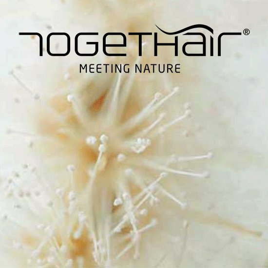 TOGETHAIR ❤️ presenta la nuova linea CURLISS TOGETHAIR ❤️ presenta la nuova linea CURLISS