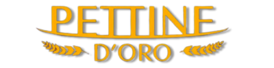 IL PETTINE D’ORO ❤️– 2 Giugno 2024 Paestum (Salerno)
