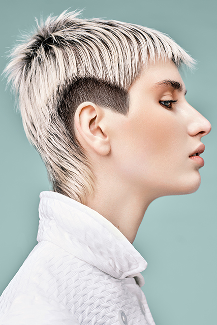 Mark van Westerop - NL ❤️ Nature’s Palette (8 photos) – New Hair Collection